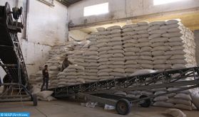 Fès-Meknès : Distribution de plus de 14.500 quintaux d'orge subventionnée aux éleveurs