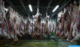 Les abattoirs de Casablanca décrochent le Label "HALAL"