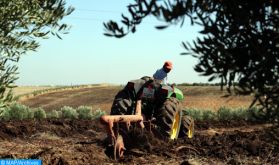 La mobilisation des terres collectives, pièce maîtresse du développement rural