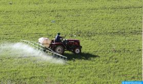 Changement climatique : une agriculture marocaine fortement résiliente