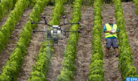 Coup d'envoi à Benguérir de la "Caravane AgriTech"