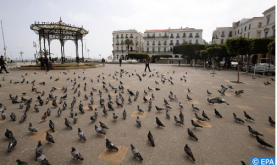 Algérie : Une économie au bord de la banqueroute