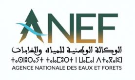 La préservation de la biosphère du cèdre de l'Atlas au centre d'une rencontre les 19 et 20 novembre à Ifrane