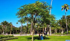 La journée nationale de l'arbre, l'occasion de faire le point sur les moyens de préserver cette richesse