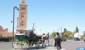 Le 6è Congrès national des Junior-Entreprises marocaines, le 22 juin à Marrakech