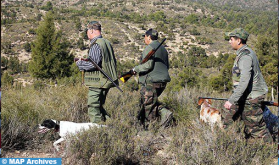 L’ANEF renforce la lutte contre le braconnage à la veille de la nouvelle saison de chasse