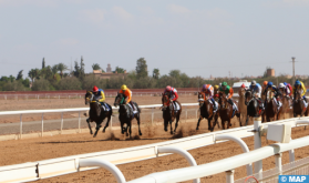 Marrakech: franc succès de la 3è édition du Grand Prix d'Afrique des courses de chevaux