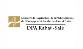 DPA Rabat-Salé: Les récentes précipitations bénéfiques pour plusieurs cultures