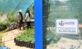 Safi : La ferme pédagogique bio "ALiLand", une illustration de l'engagement de l’INDH en faveur de l’environnement