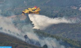 Chefchaouen: l'incendie de la forêt Sougna "contrôlé", environ 1.100 ha ravagés