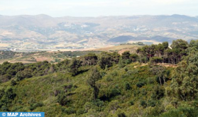 Incendies de forêts: risque "moyen" à "extrême", du 22 au 24 juin, dans plusieurs provinces (ANEF)