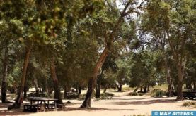 Rencontre de communication à Oujda sur la protection des ressources forestières et de la faune sauvage