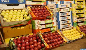 Covid-19: Approvisionnement régulier du marché de gros des fruits et légumes de Fès