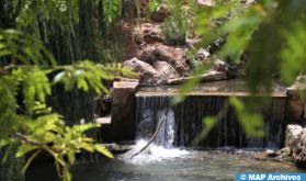 Cascades de Ras El Ma à Taza, une destination de prédilection pour échapper à la chaleur de l'été