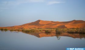 CNEWS s’émerveille des «incroyables images des dunes du Sahara marocain» parsemées d'arbres et de lacs après les fortes pluies de septembre