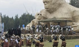 Conservation de la faune : le Rwanda célèbre ses bébés gorilles