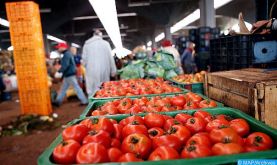 La production de tomates est suffisante, la hausse des prix liée à l'augmentation de la demande mondiale (M. Baitas)