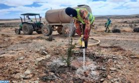 L'arganier couvre une superficie de 1266 ha dans la région de Guelmim-Oued Noun (ANDZOA)