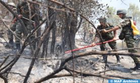 Taza: L'incendie de la forêt de Maghraoua maîtrisé à 65 pc (responsable)