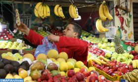 Covid-19: Le Maroc a vu juste pour l'agriculture