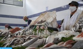 Ramadan: Grande affluence sur les marchés de poisson à Salé