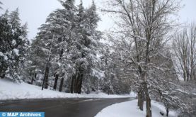 Chutes de neige de samedi à lundi et vague de froid de samedi à mardi dans plusieurs provinces (Bulletin d’alerte)