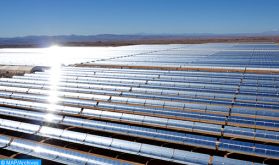 Au Maroc, la success story de l'énergie verte sous l'impulsion de SM le Roi