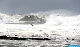 One Ocean Summit: ouverture à Brest du segment de haut niveau avec la participation du Maroc