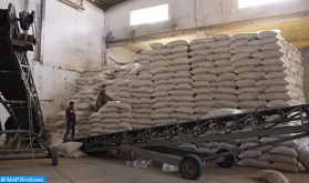Boujdour : Distribution de 15.000 quintaux d'orge subventionnée au profit des éleveurs
