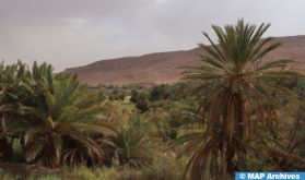 Province de Ouarzazate : la commune de Ghessate à l’heure du 12è festival Tamount