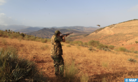 Marrakech-Safi: ouverture de la saison de chasse 2024-2025