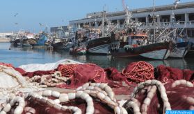 Port d'Essaouira : Les débarquements de la pêche côtière et artisanale en baisse de 48% à fin août (ONP)