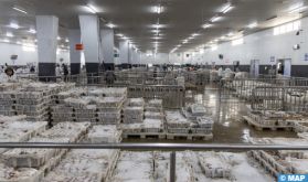 Port de Laâyoune: Bon démarrage de la campagne d'été de la pêche au poulpe