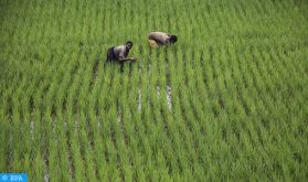 Malmené par le réchauffement climatique, le Rwanda s'engage à réduire de 38% ses émissions de GES d'ici 2030