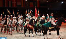 Le Salon du cheval d'El Jadida, une vitrine du riche patrimoine national équin