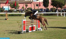 Semaine du cheval 2023 (saut d'obstacles): Ghali Chaoui remporte le championnat du Maroc "seniors intermédiaires"