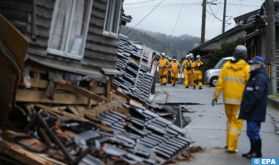 Japon: 21 séismes d'une magnitude de plus de 4 frappent le pays