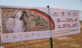 Covid19: un nouveau marché à bétail aménagé à Meknès à l'occasion de l'Aid Al Adha