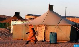 Droits de l'Homme : Des ONG condamnent les graves violations dans les camps de Tindouf