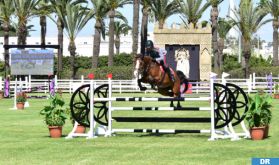 Concours Officiel de Saut d'Obstacles des Jeunes Chevaux 2024, les 10 et 11 septembre à Rabat